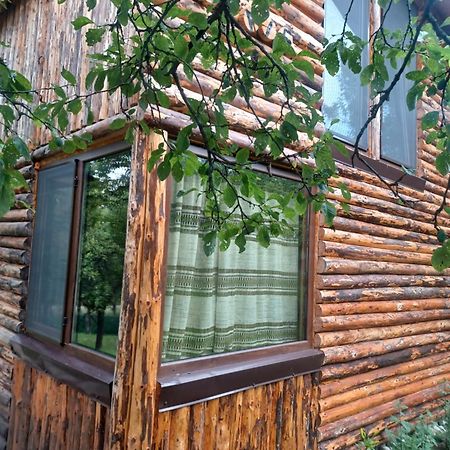 Отель Casa Sara Nucsoara Экстерьер фото