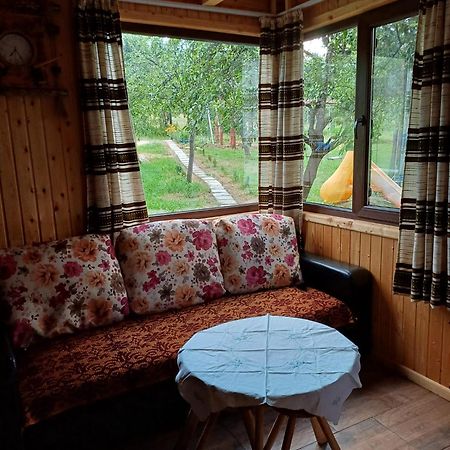 Отель Casa Sara Nucsoara Экстерьер фото