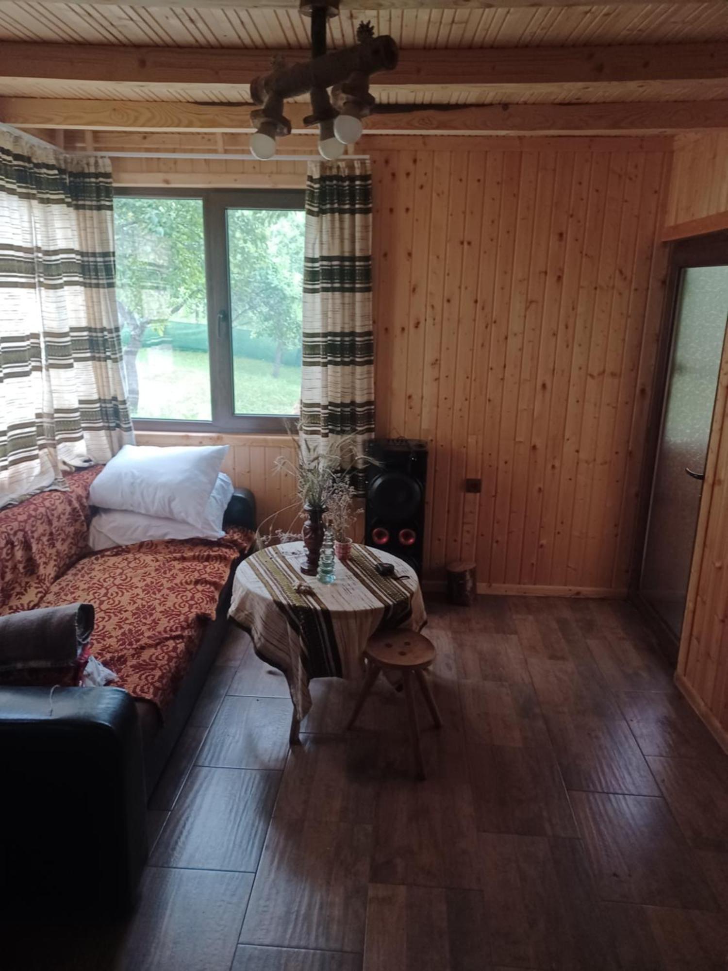 Отель Casa Sara Nucsoara Экстерьер фото