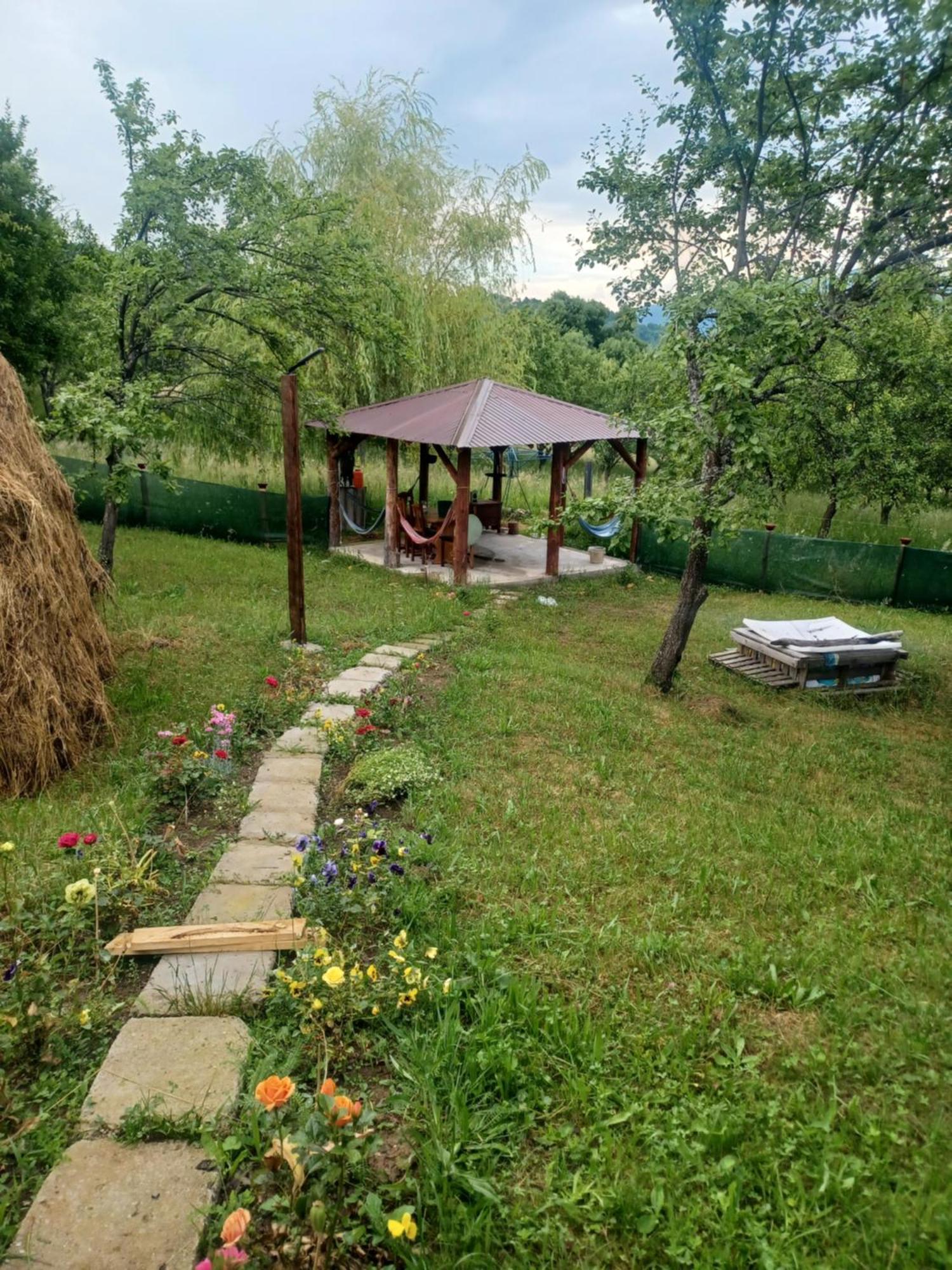 Отель Casa Sara Nucsoara Экстерьер фото