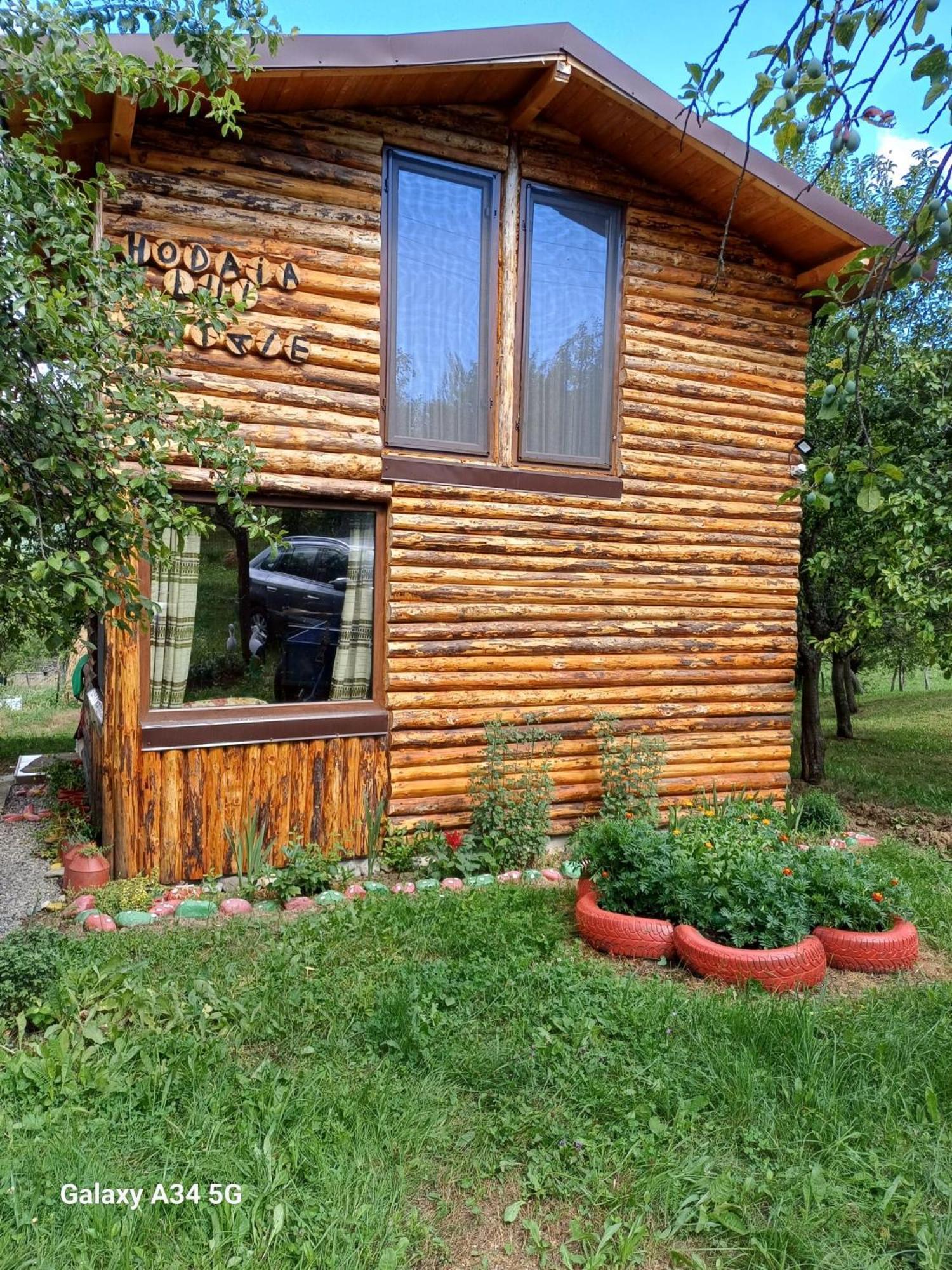 Отель Casa Sara Nucsoara Экстерьер фото